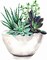 Paint by Numbers for Adults, DIY Painting Kit for Beginners, 16” x 20” Succulent Pot Acrylic Painting is Suitable for Living Room
